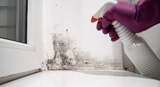 Best Water damage restoration insurance claims  in Lden, MA